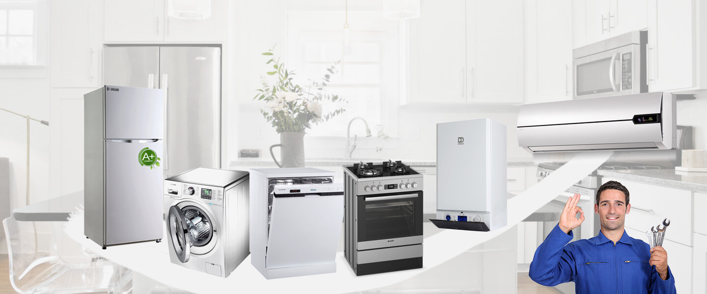 Alanya Smeg Servisi